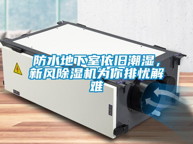 防水地下室依舊潮濕，新風(fēng)除濕機(jī)為你排憂解難