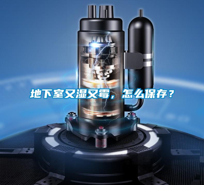 地下室又濕又霉，怎么保存？