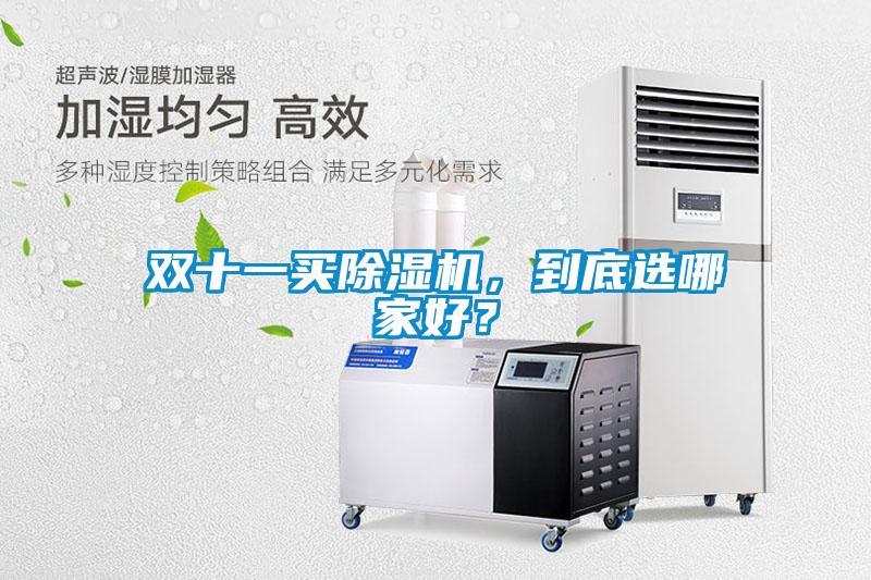 雙十一買除濕機(jī)，到底選哪家好？