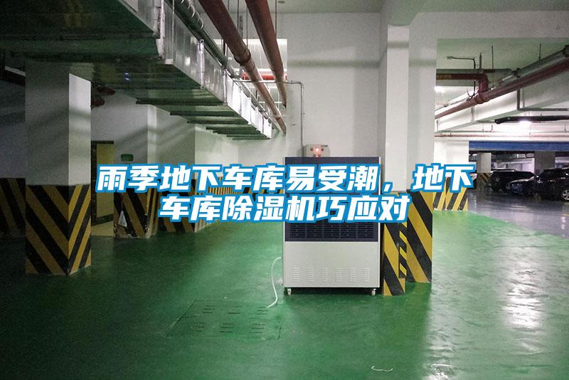 雨季地下車庫易受潮，地下車庫除濕機(jī)巧應(yīng)對