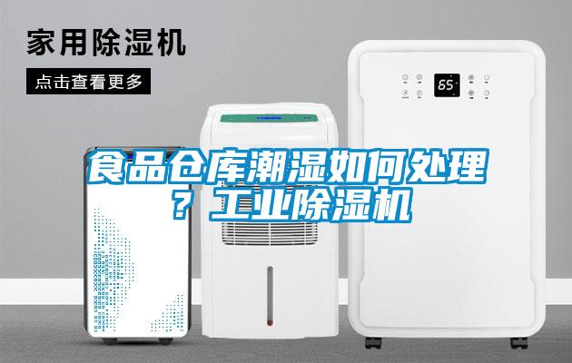 食品倉庫潮濕如何處理？工業(yè)除濕機(jī)