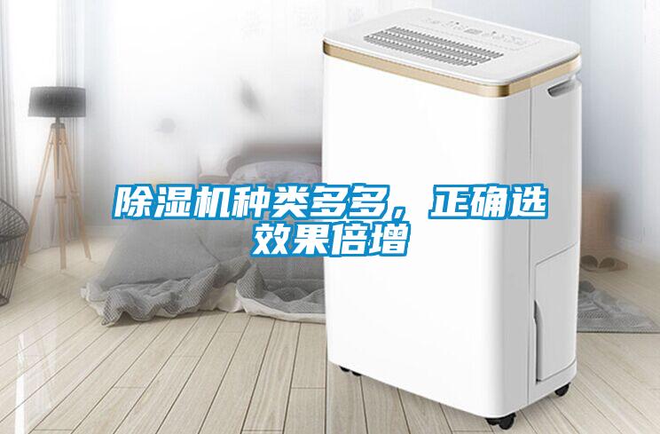 除濕機種類多多，正確選效果倍增