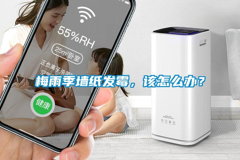 梅雨季墻紙發(fā)霉，該怎么辦？