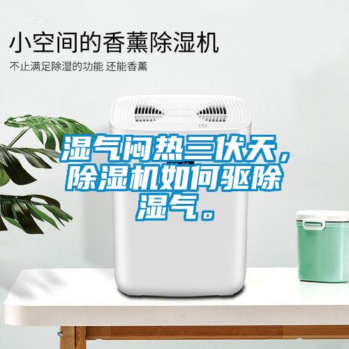 濕氣悶熱三伏天，除濕機(jī)如何驅(qū)除濕氣。
