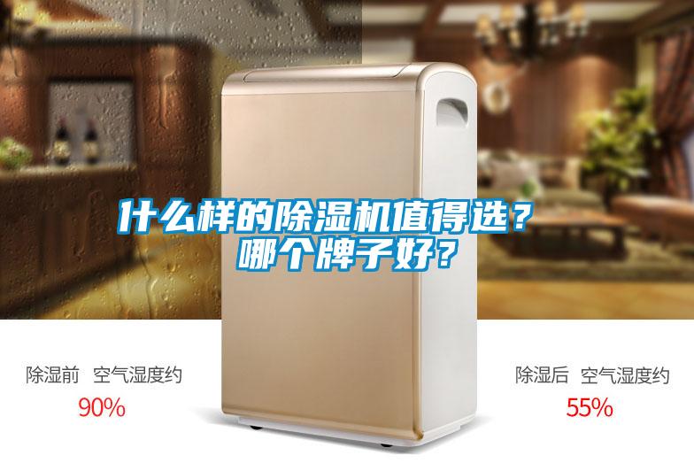 什么樣的除濕機值得選？ 哪個牌子好？