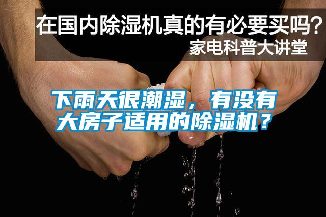 下雨天很潮濕，有沒有大房子適用的除濕機(jī)？