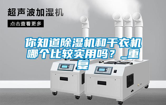 你知道除濕機(jī)和干衣機(jī)哪個(gè)比較實(shí)用嗎？_重復(fù)