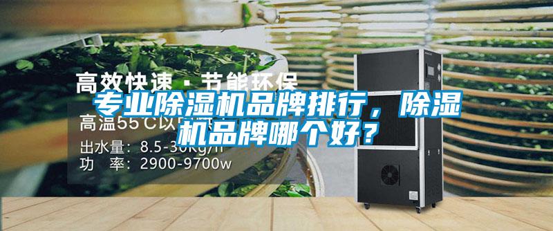 專業(yè)除濕機(jī)品牌排行，除濕機(jī)品牌哪個(gè)好？