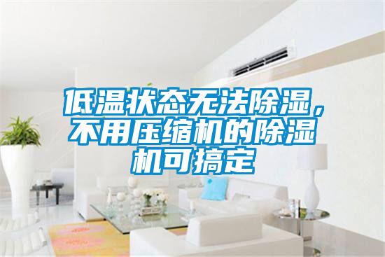 低溫狀態(tài)無(wú)法除濕，不用壓縮機(jī)的除濕機(jī)可搞定
