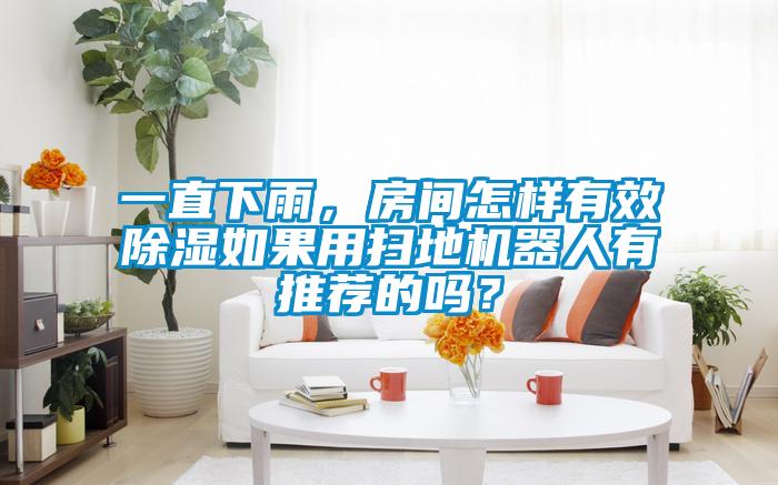 一直下雨，房間怎樣有效除濕如果用掃地機器人有推薦的嗎？