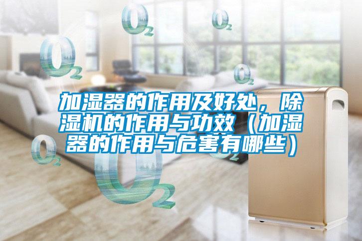 加濕器的作用及好處，除濕機(jī)的作用與功效（加濕器的作用與危害有哪些）