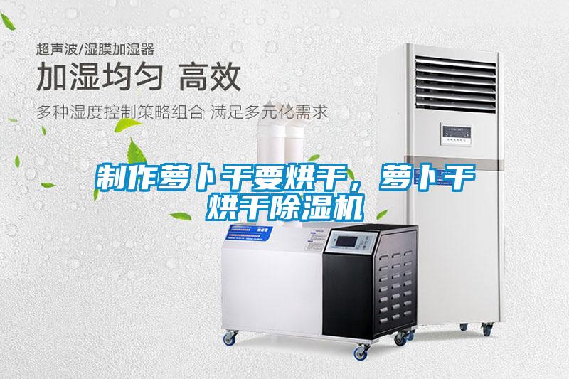 制作蘿卜干要烘干，蘿卜干烘干除濕機
