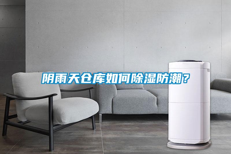 陰雨天倉(cāng)庫(kù)如何除濕防潮？