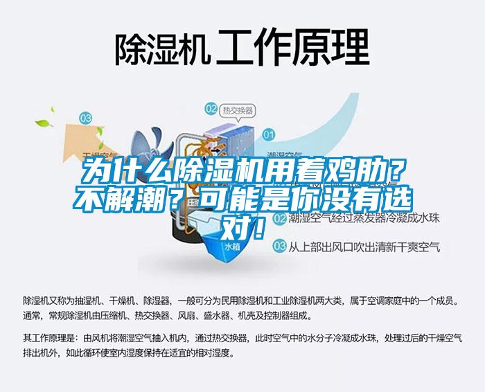為什么除濕機用著雞肋？不解潮？可能是你沒有選對！