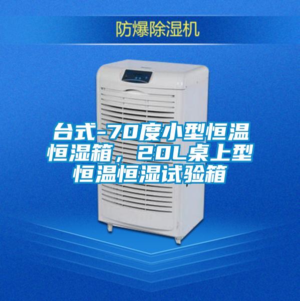 臺式-70度小型恒溫恒濕箱，20L桌上型恒溫恒濕試驗(yàn)箱