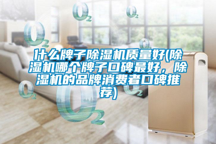 什么牌子除濕機(jī)質(zhì)量好(除濕機(jī)哪個(gè)牌子口碑最好，除濕機(jī)的品牌消費(fèi)者口碑推薦)