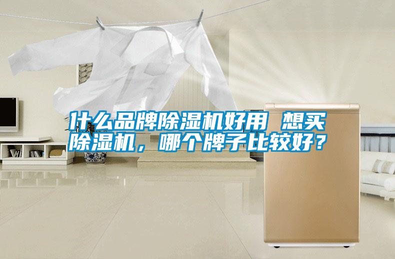 什么品牌除濕機(jī)好用 想買除濕機(jī)，哪個(gè)牌子比較好？