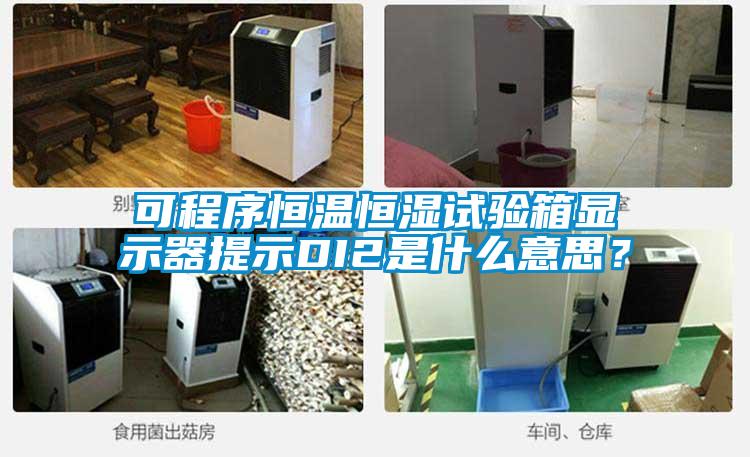 可程序恒溫恒濕試驗(yàn)箱顯示器提示DI2是什么意思？