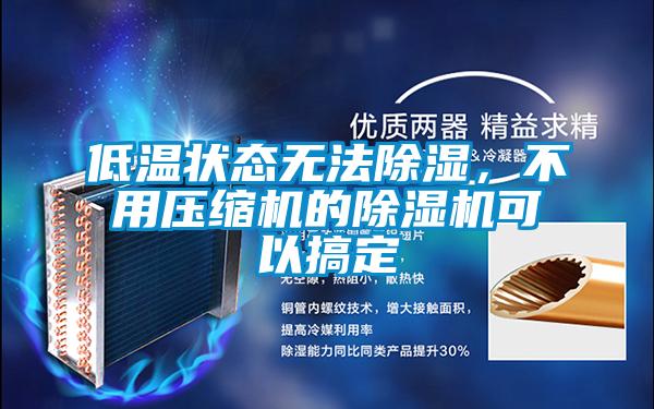 低溫狀態(tài)無(wú)法除濕，不用壓縮機(jī)的除濕機(jī)可以搞定