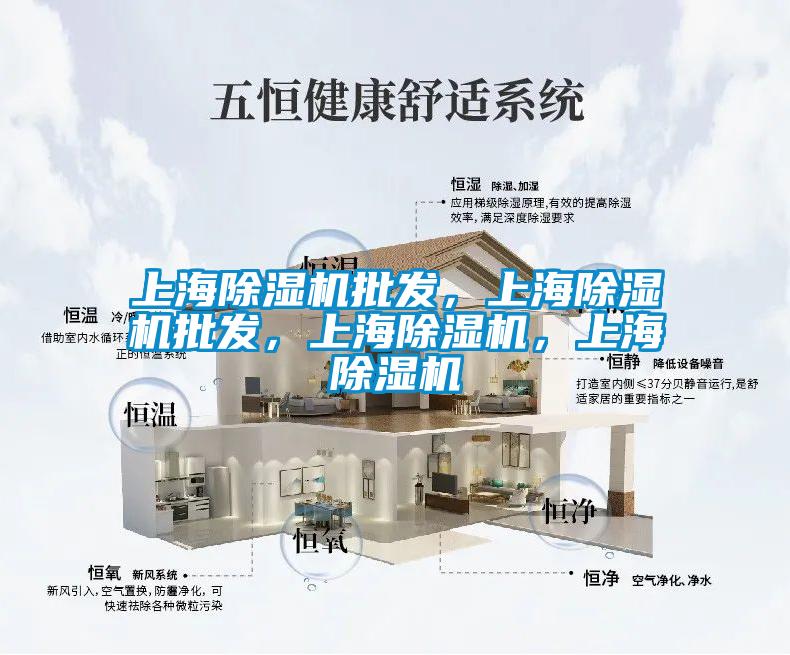 上海除濕機(jī)批發(fā)，上海除濕機(jī)批發(fā)，上海除濕機(jī)，上海除濕機(jī)