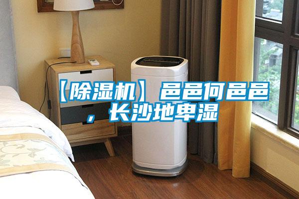 【除濕機】邑邑何邑邑，長沙地卑濕