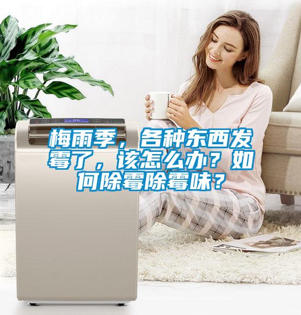 梅雨季，各種東西發(fā)霉了，該怎么辦？如何除霉除霉味？