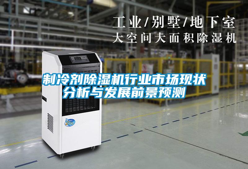制冷劑除濕機行業(yè)市場現(xiàn)狀分析與發(fā)展前景預測