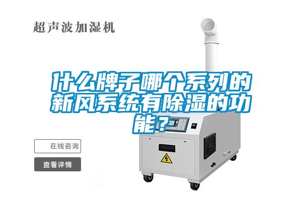 什么牌子哪個系列的新風系統(tǒng)有除濕的功能？
