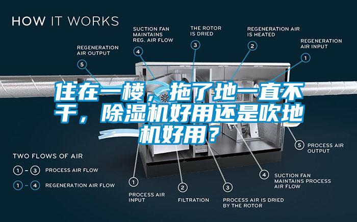 住在一樓，拖了地一直不干，除濕機(jī)好用還是吹地機(jī)好用？
