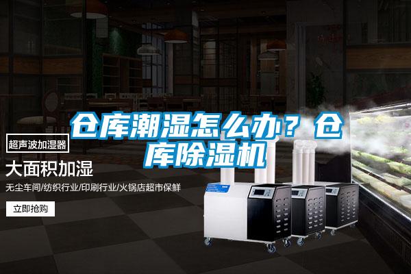 倉(cāng)庫(kù)潮濕怎么辦？倉(cāng)庫(kù)除濕機(jī)