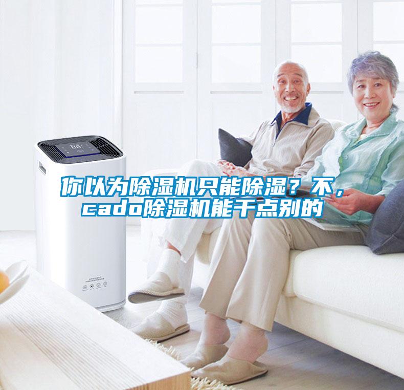 你以為除濕機(jī)只能除濕？不，cado除濕機(jī)能干點(diǎn)別的