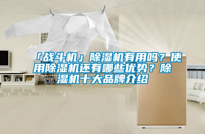 「戰(zhàn)斗機(jī)」除濕機(jī)有用嗎？使用除濕機(jī)還有哪些優(yōu)勢(shì)？除濕機(jī)十大品牌介紹