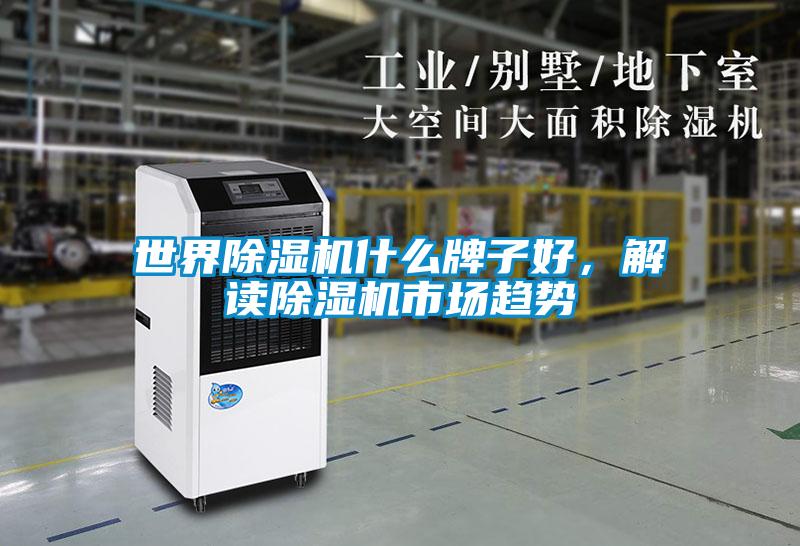 世界除濕機(jī)什么牌子好，解讀除濕機(jī)市場趨勢