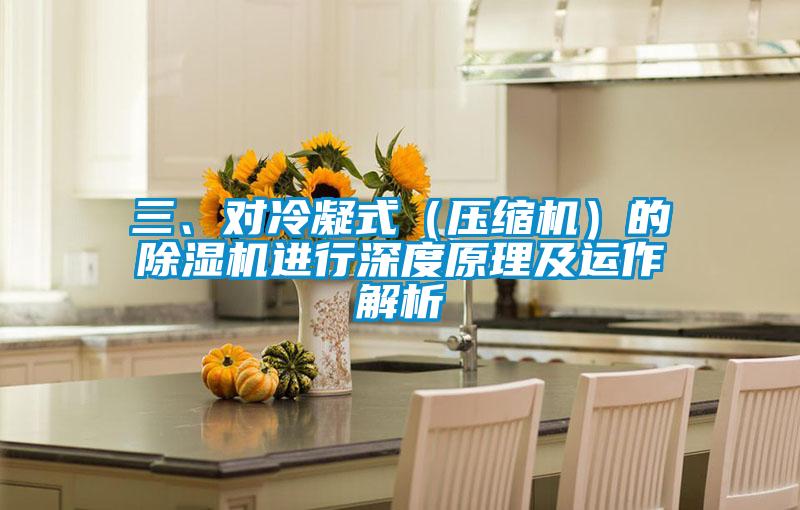 三、對(duì)冷凝式（壓縮機(jī)）的除濕機(jī)進(jìn)行深度原理及運(yùn)作解析