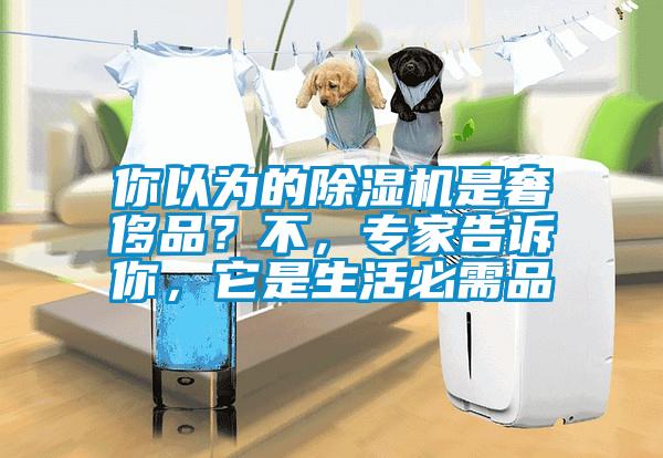 你以為的除濕機(jī)是奢侈品？不，專家告訴你，它是生活必需品