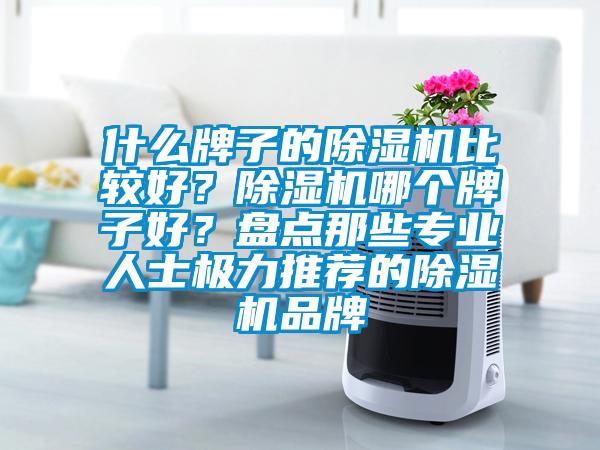 什么牌子的除濕機(jī)比較好？除濕機(jī)哪個(gè)牌子好？盤(pán)點(diǎn)那些專(zhuān)業(yè)人士極力推薦的除濕機(jī)品牌