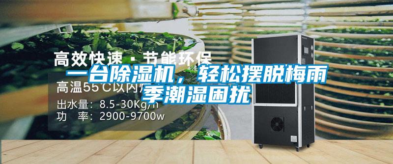一臺除濕機，輕松擺脫梅雨季潮濕困擾