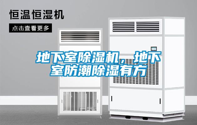 地下室除濕機，地下室防潮除濕有方