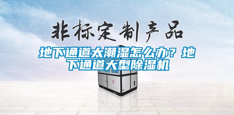 地下通道太潮濕怎么辦？地下通道大型除濕機