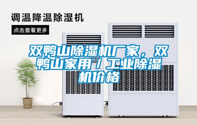雙鴨山除濕機廠家，雙鴨山家用／工業(yè)除濕機價格