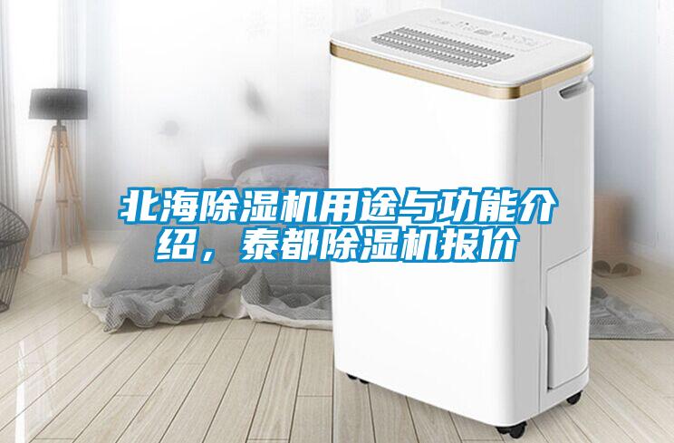 北海除濕機用途與功能介紹，泰都除濕機報價