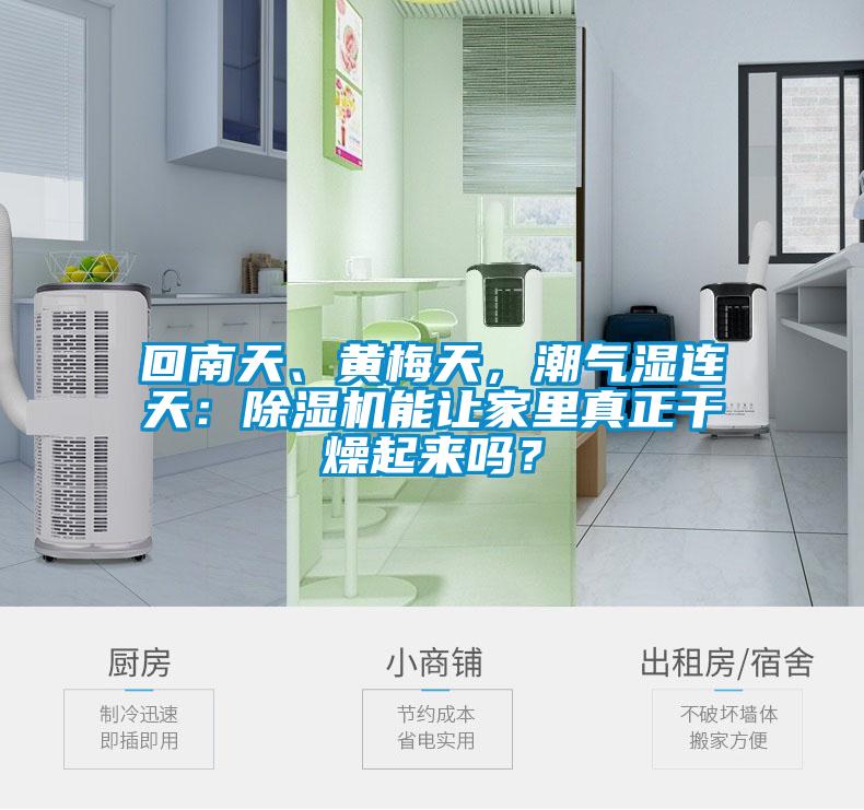 回南天、黃梅天，潮氣濕連天：除濕機(jī)能讓家里真正干燥起來嗎？