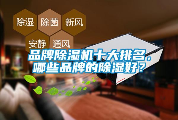 品牌除濕機(jī)十大排名，哪些品牌的除濕好？