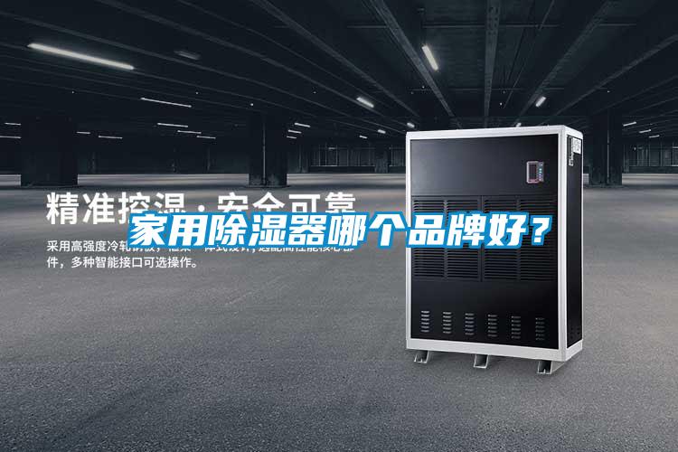 家用除濕器哪個品牌好？