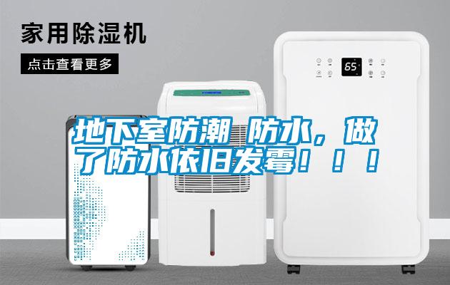 地下室防潮≠防水，做了防水依舊發(fā)霉?。?！