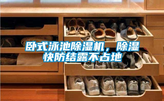 臥式泳池除濕機，除濕快防結露不占地