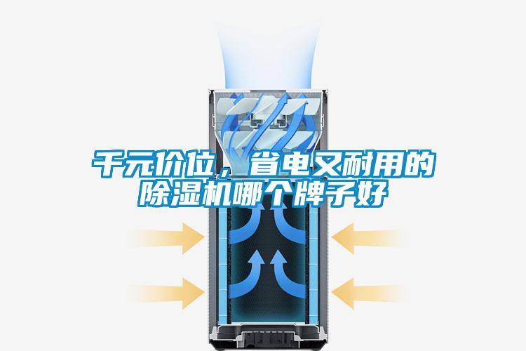 千元價位，省電又耐用的除濕機哪個牌子好