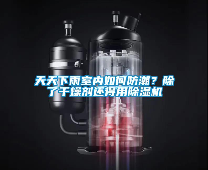 天天下雨室內(nèi)如何防潮？除了干燥劑還得用除濕機(jī)