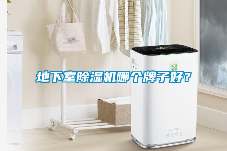地下室除濕機(jī)哪個牌子好？