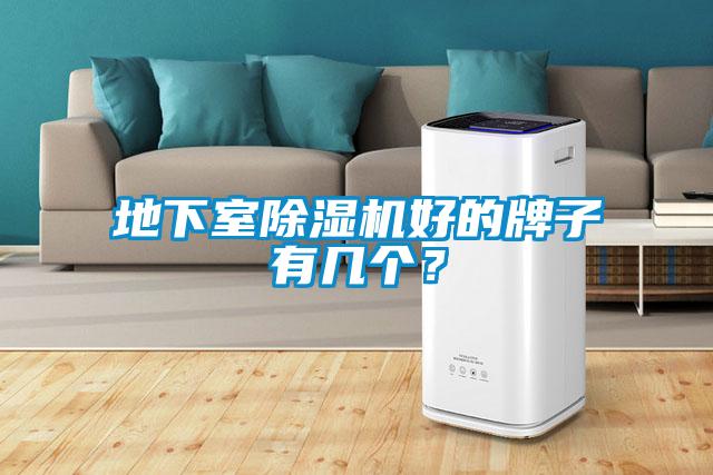 地下室除濕機(jī)好的牌子有幾個？